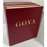 catalogue raisonné de Goya