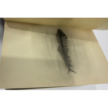 HENRI MICHAUX PEINTURES ET DESSINS