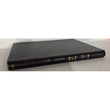 LE ROI DES AULNES GOETHE ET SCHUBERT