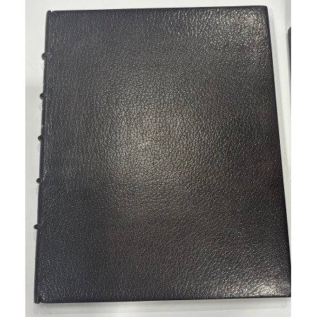 LE ROI DES AULNES GOETHE ET SCHUBERT