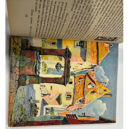 HANSI - AU PIED DE LA MONTAGNE SAINTE-ODILE